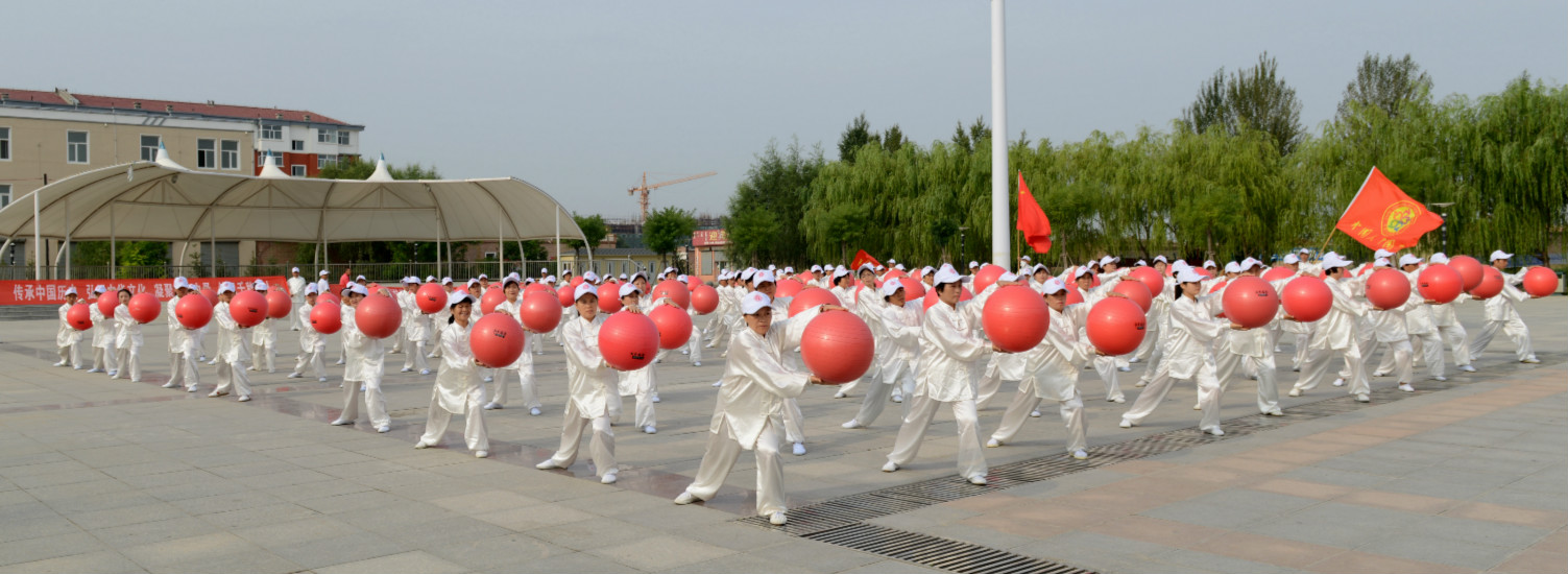 北京龙珠传人